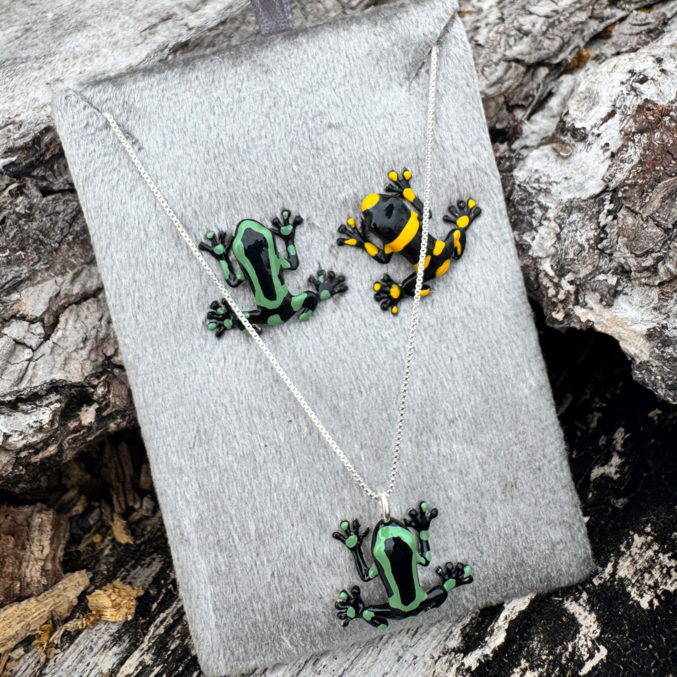 ARETES RANA DARDO
