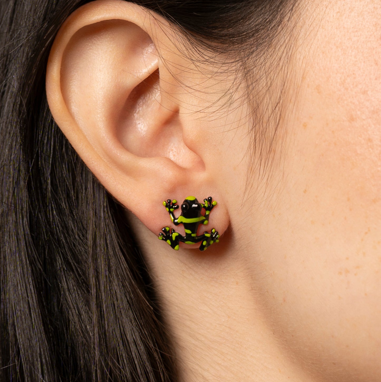 ARETES RANA ANDINA