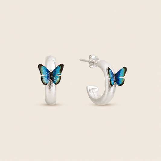 CANDOGAS MARIPOSA MORPHO