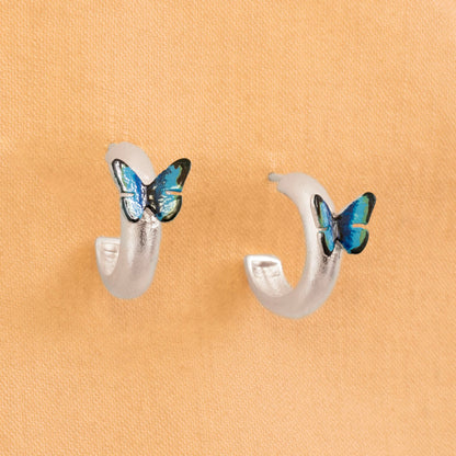 CANDOGAS MARIPOSA MORPHO