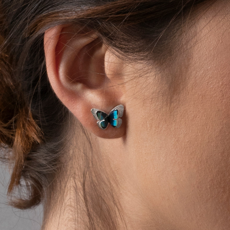 TOPOS MARIPOSAS MORPHO