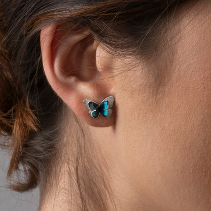 TOPOS MARIPOSAS MORPHO