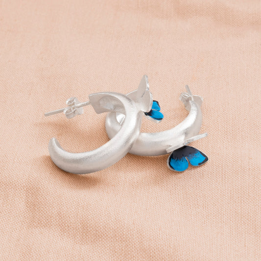 CANDONGA MARIPOSA MORPHO