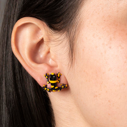 ARETES RANA DARDO