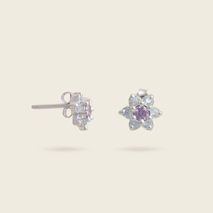 ARETES EDERA