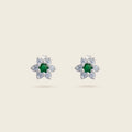 ARETES EDERA
