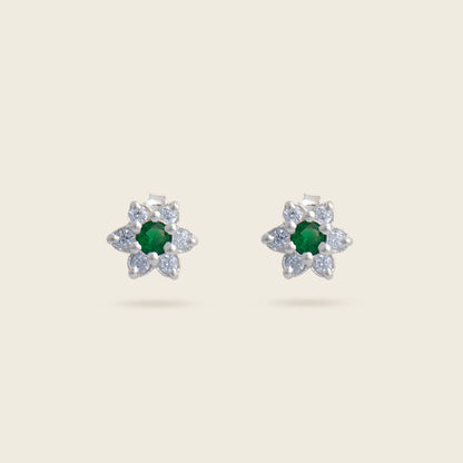 ARETES EDERA