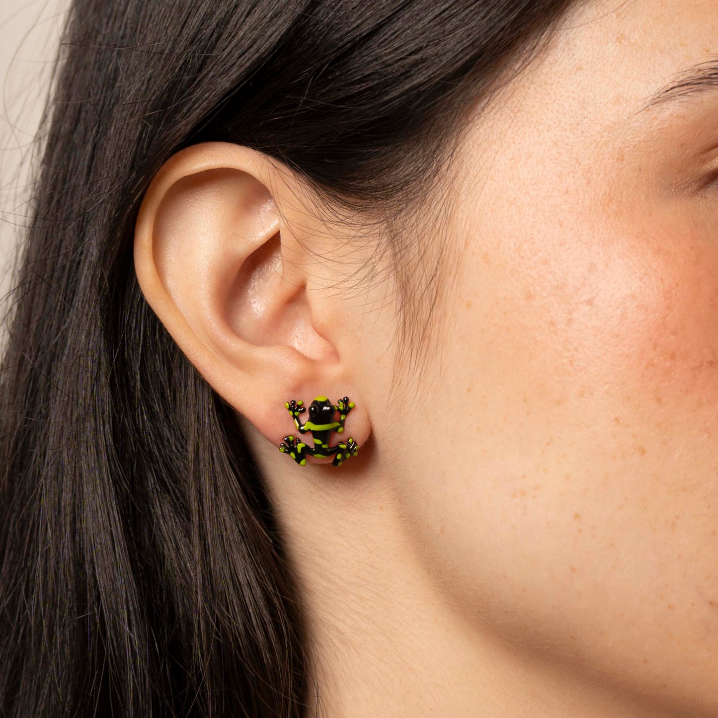 ARETES RANA ANDINA
