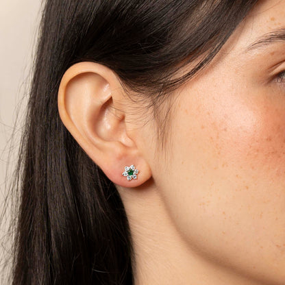 ARETES EDERA