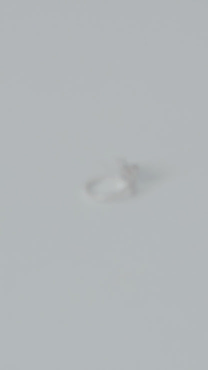 ANILLO MARIPOSA SALTARINA
